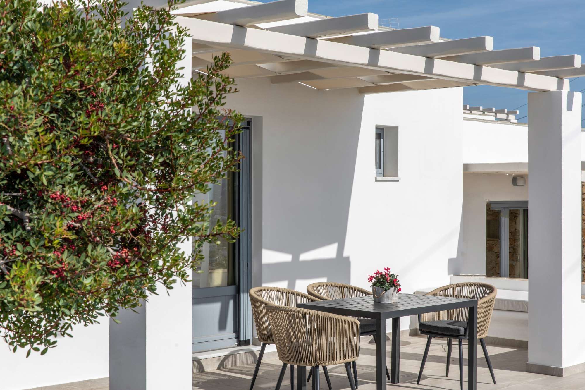 naxos prokopios villas