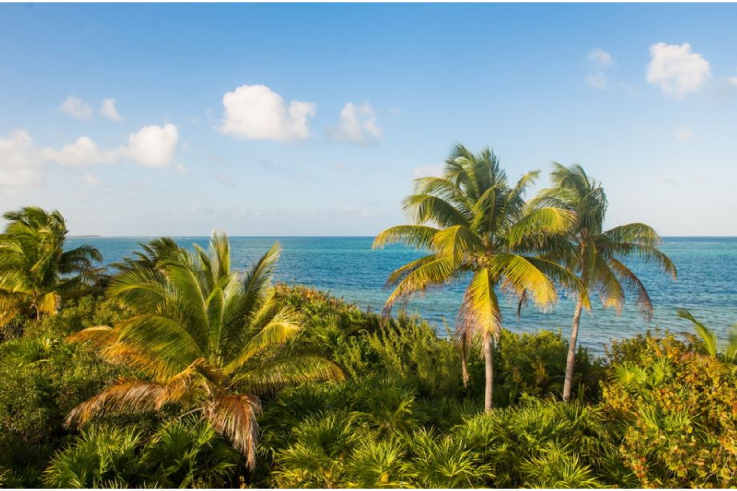 erlina casa tulum views