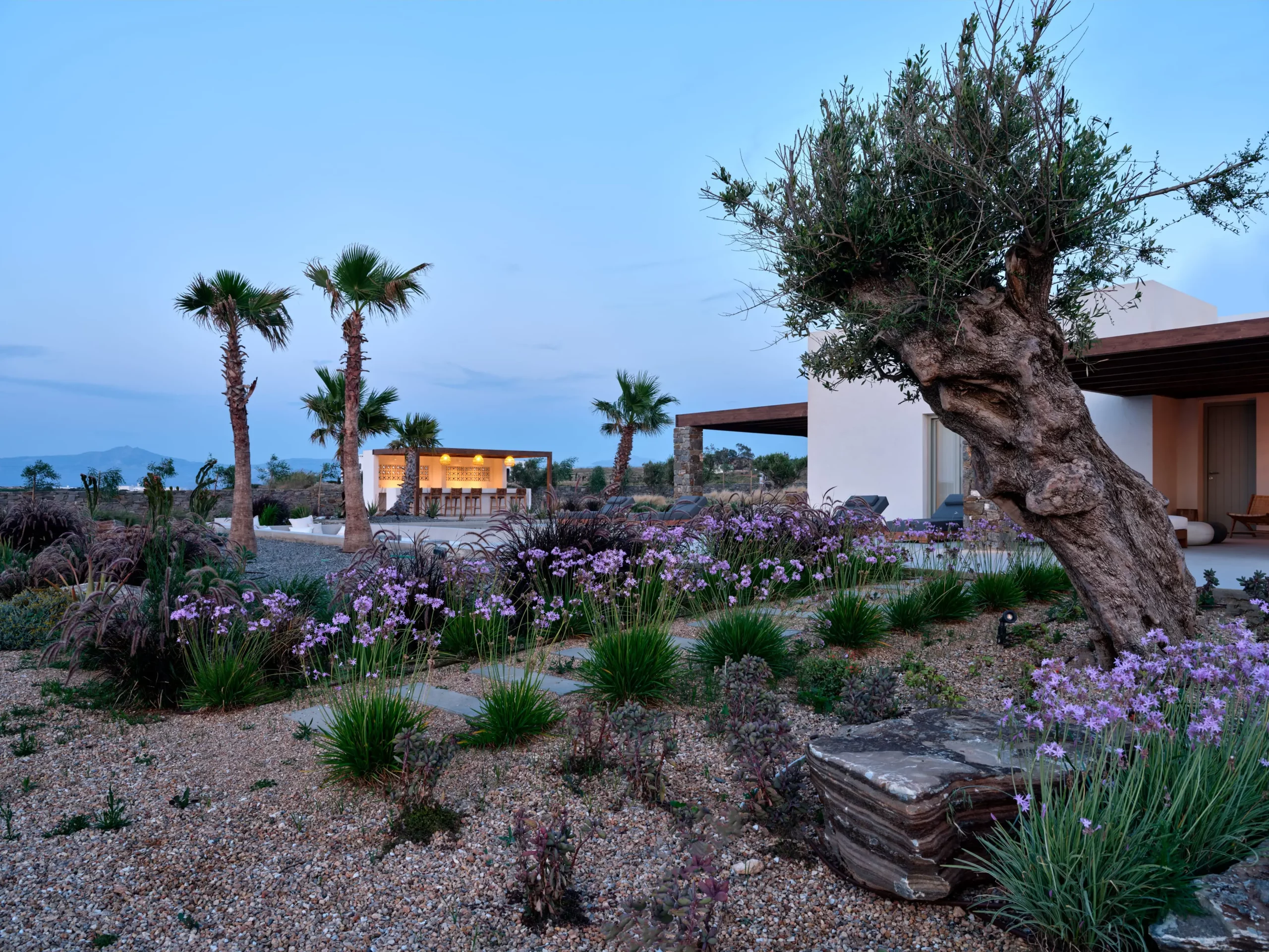 villa jardin Santa Maria Paros gardens